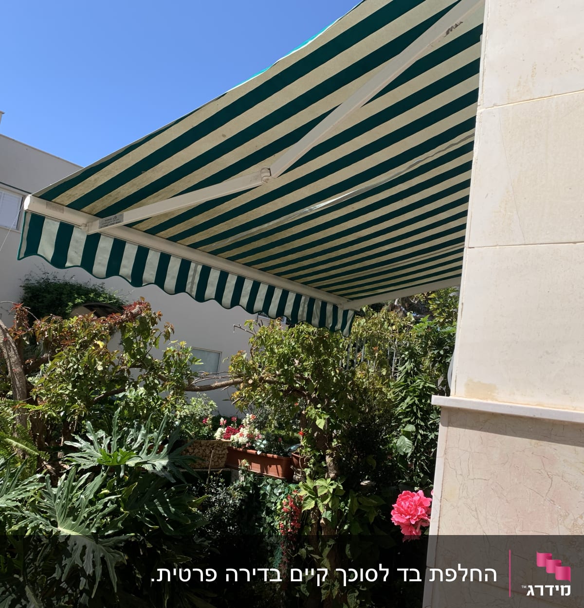 סוכך פסים ירוק ולבן מעל גינה ירוקה